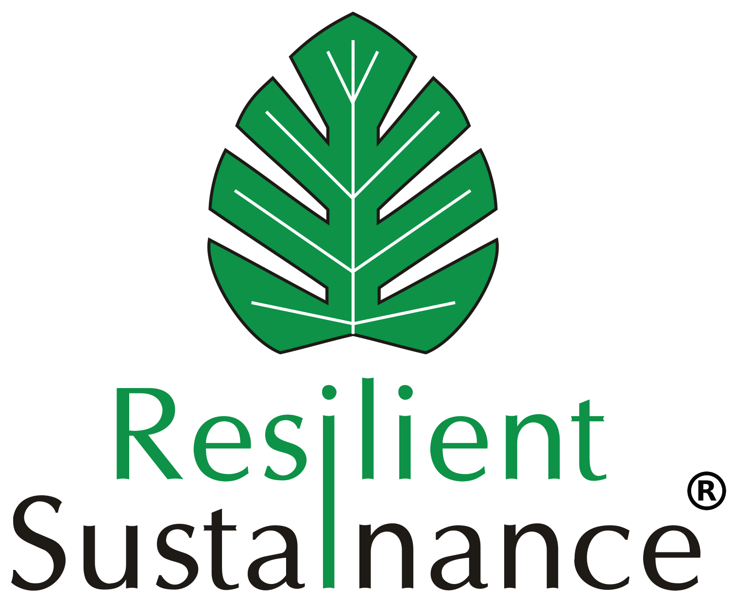 Resilient Sustainance Limited Logo - Centre for ESG Excellence and Net Zero Consulting